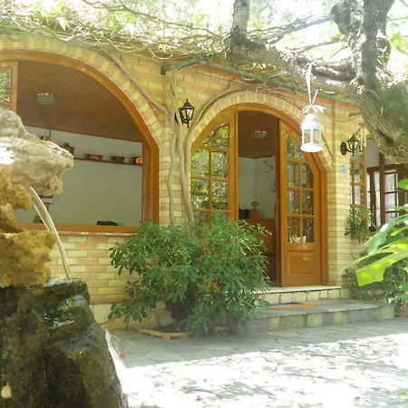 Appartement Sofos Tsilivi (Zakynthos)
